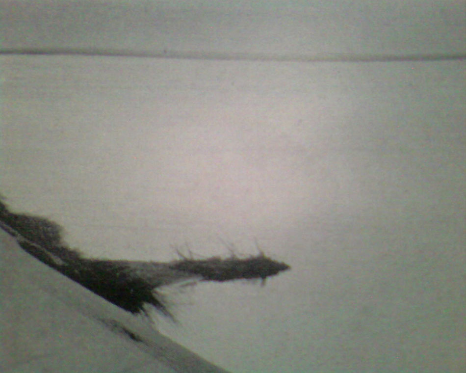 Landscape, curonian spit revisited
