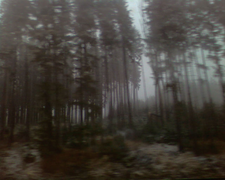 Landscape, SP_A1244