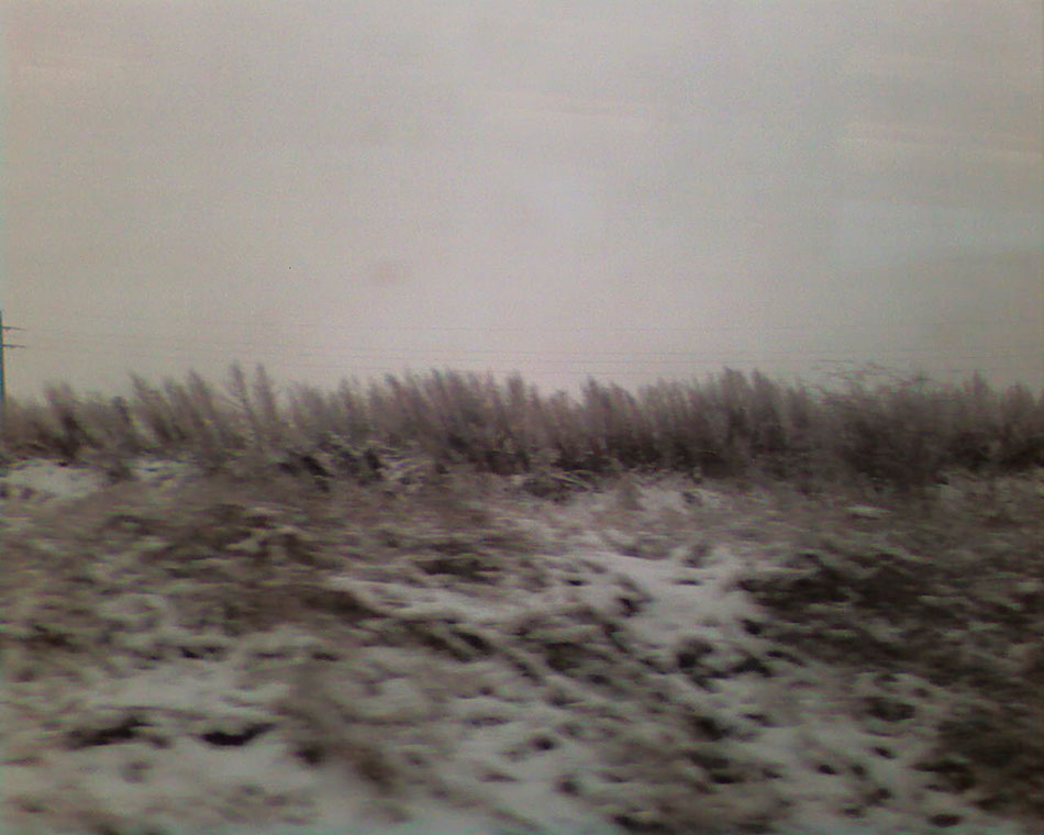 Landscape, SP_A2480