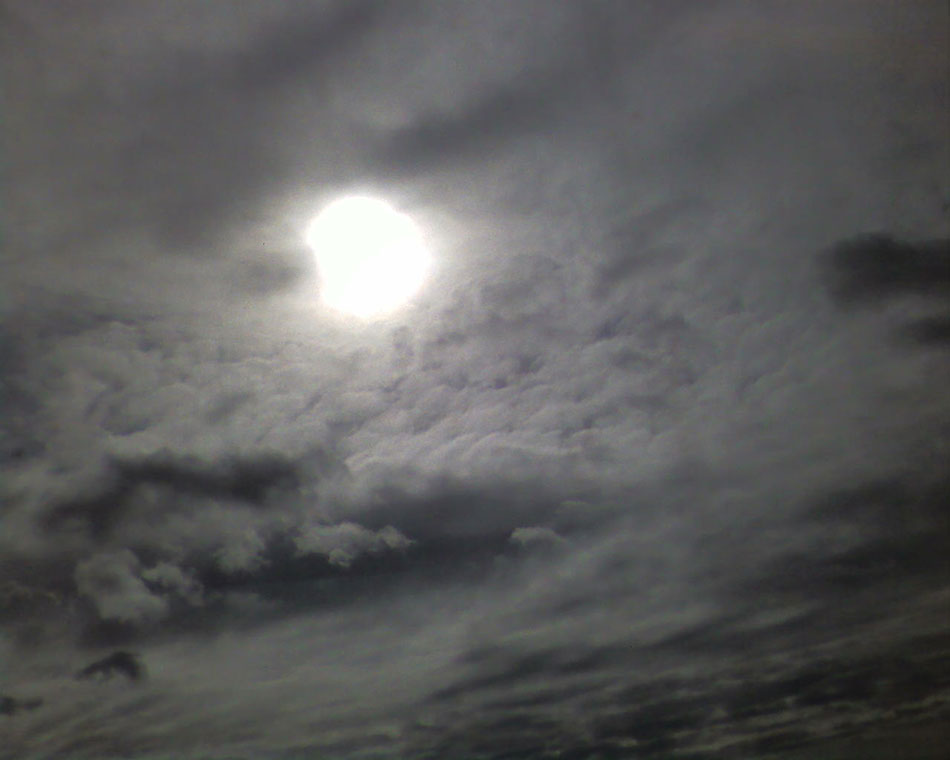 Landscape, SP_B1184